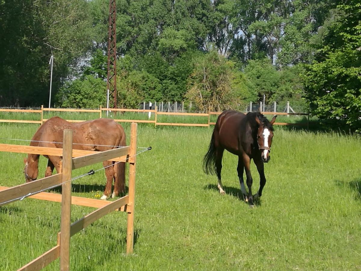 Ferienpark Aparthotel Seeland Schadeleben Εξωτερικό φωτογραφία